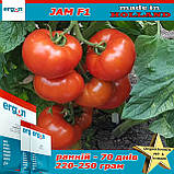 Насіння, томат ранній Джем F1 / Jam F1, ТМ ERGON SEED (Нідерланди), паковання 500 насіння, фото 2