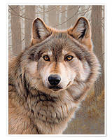 Алмазная вышивка Североамериканский волк