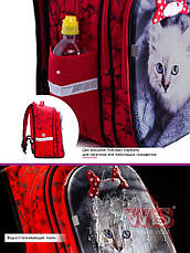 Рюкзак для дівчинки шкільний ортопедичний Winner One Кошеня R1-014, фото 2