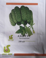 Насіння Огірок самозапильний Азарт F1, 250 насінин Lucky Seed