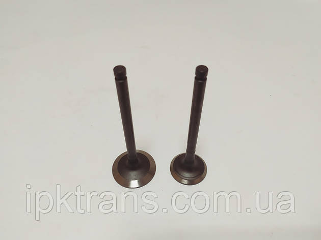 Клапана головки двигуна Kubota D1703, фото 1