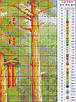 Набір для вишивання за нанесеною на канву схемою "Pine forest".AIDA 14CT printed, 48*36 см, фото 5