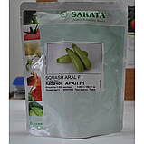 АРАЛ F1 - насіння кабачка, Sakata, фото 2
