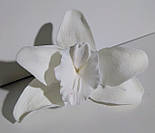 Орхідея велика d-90 (уп. 3 шт), фото 2