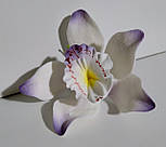 Орхідея велика d-90 (уп. 3 шт), фото 3