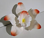 Орхідея велика d-90 (уп. 3 шт), фото 4