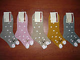 Жіночі шкарпетки "Наталі". С ушками. р. 36-41. Асорті., фото 9