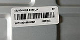 Підсвічування SSC. Y19.43UM73, SSC_Y19_Trident_43UM73 для телевізора LG 43UN74006LB, фото 7