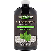 Жидкий Хлорофилл, Liquid Chlorophyll, Nature's Way, (мятный вкус), 473.2 мл