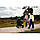 Коляска універсальна 2в1 Bugaboo FOX2 Mineral Collection (Black), фото 6