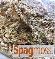 Мох новозеландський Besgrow Spagmoss (Спагмосс) Premier 12 грамм (приблизно 1л) (ручная фасовка)