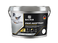 Краска для крыш стойкая Profi Roof Paint BAYRIS 5, Белый