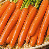 Морква Вітамінна-6 2г, фото 2
