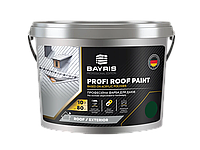 Краска для крыш стойкая Profi Roof Paint BAYRIS 1, Зелёный (RAL 6002)