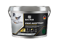 Краска для крыш стойкая Profi Roof Paint BAYRIS 5, Зелёный (RAL 6002)
