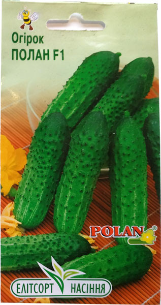 Насіння огірків Пола F1 20 шт. бджолозапильний, фото 1