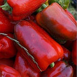 Перець Мерцедес 0,3 г, фото 2