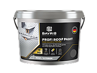 Краска для крыш стойкая Profi Roof Paint BAYRIS 10, Серый (RAL 7046)