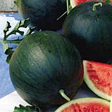 Кавун Цукровий малюк 2г, фото 2