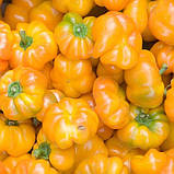 Перець Сонечко 0,3 г, фото 2