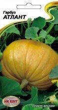 Гарбуз Атлант 10шт