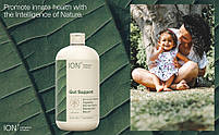 ION Biome, Gut Health, Mineral Supplement, мінеральна добавка для здоров'я кишкивника 236 ml. BX017, фото 3