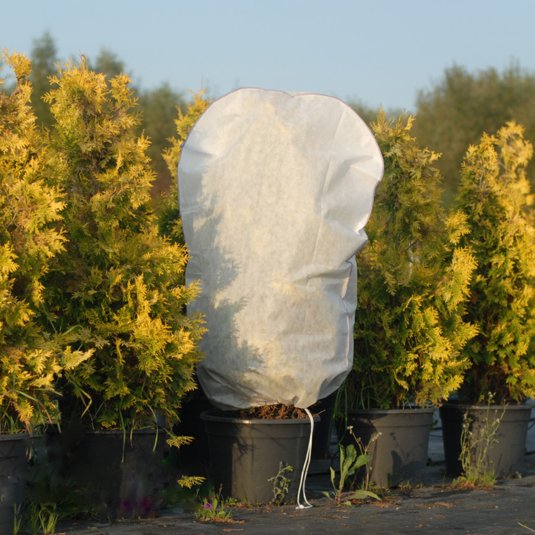 Чехлы для растений 140х200 Чехлы на зиму плотностью агроволокна 60 г/м2 ...