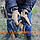 Рукавички вологозахисні польові P1G-Tac® CFG (Cyclone Field Gloves) SoftShell - Coyote Brown, фото 7