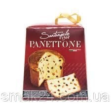 Панеттоне изюм и цукаты Santagelo PANETTONE tradizionale 908г Италия - фото 2 - id-p1335231907