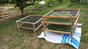 Збір лікувальних трав