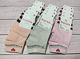 Шкарпетки жіночі короткі демісезонні бавовняні однотонні із серцем 36-39 розмір 12 штук паковання, фото 4