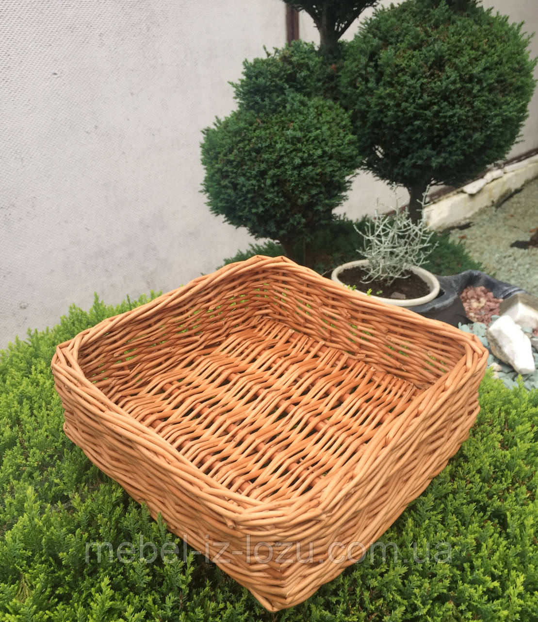Лоток із суцільної лози No3, фото 1