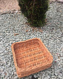 Лоток із суцільної лози No3, фото 5