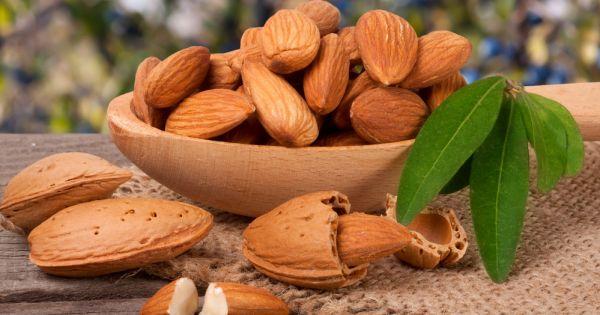 Мигдальна олія Prunus Amygdalus Dulcis - інгредієнт Weleda Coldcream Gesichtscreme Face Cream