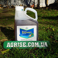 Гербіцид Бетанал Експерт 274 ЄС (Betanal Expert 274 EC) Bayer 5л