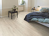 Ламінат Egger, Home Classic, EHL141 Дуб Лойя світлий, клас 32, товщина 8 мм, 4V фаска, Німеччина, фото 2