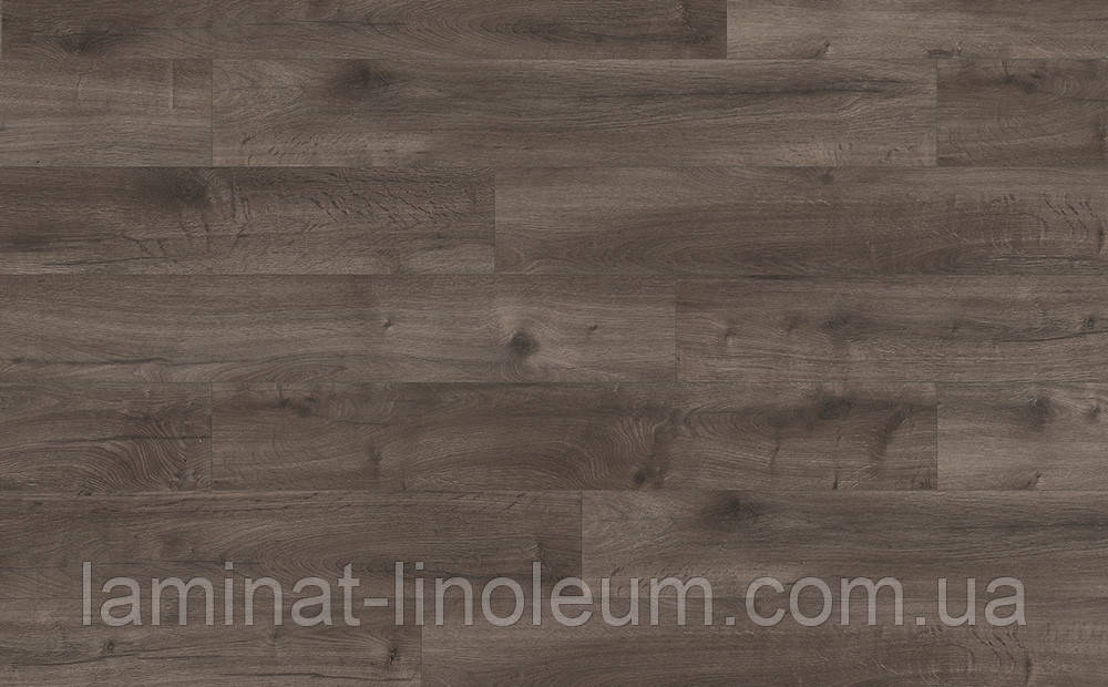 Ламінат Egger, Home Classic, EHL144 Дуб Лойя сірий, клас 32, товщина 8 мм, 4V фаска, Німеччина, фото 1