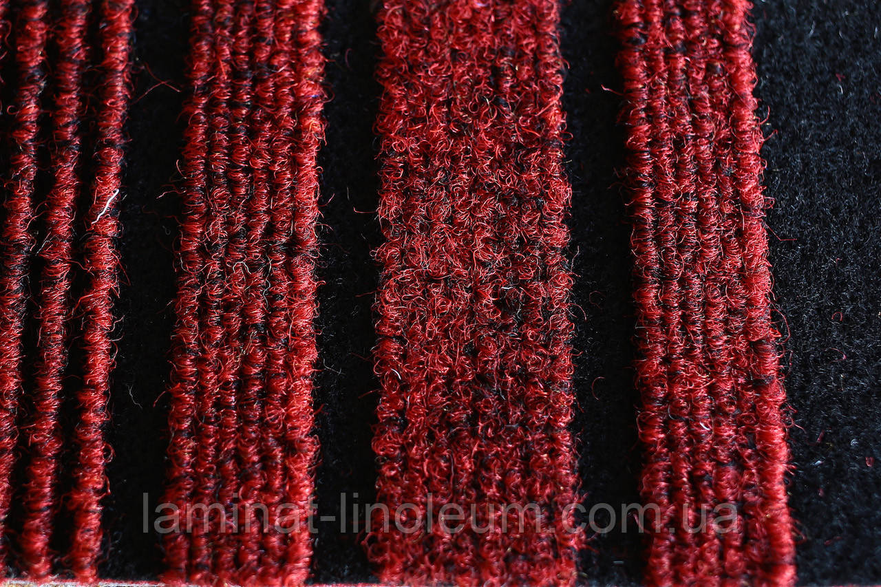 Кишень — Sintelon — Record urb — 877