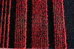 Кишень — Sintelon — Record urb — 877