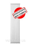 Вертикальний трубчастий радіатор Betatherm Quantum 2 H-1500 мм, L-325 мм, фото 2
