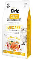 Сухой корм для кошек Brit Care Cat GF Haircare Healthy & Shiny Coat для ухода за шерстью курица лосось 7 кг