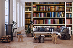 Флізелінові фото шпалери книжкові полиці в інтер'єрі 254x184 см Бібліотека (12206V4)+клей