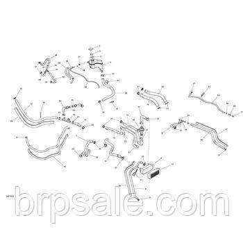 Шланг Sea-Doo BRP HOSE, фото 1