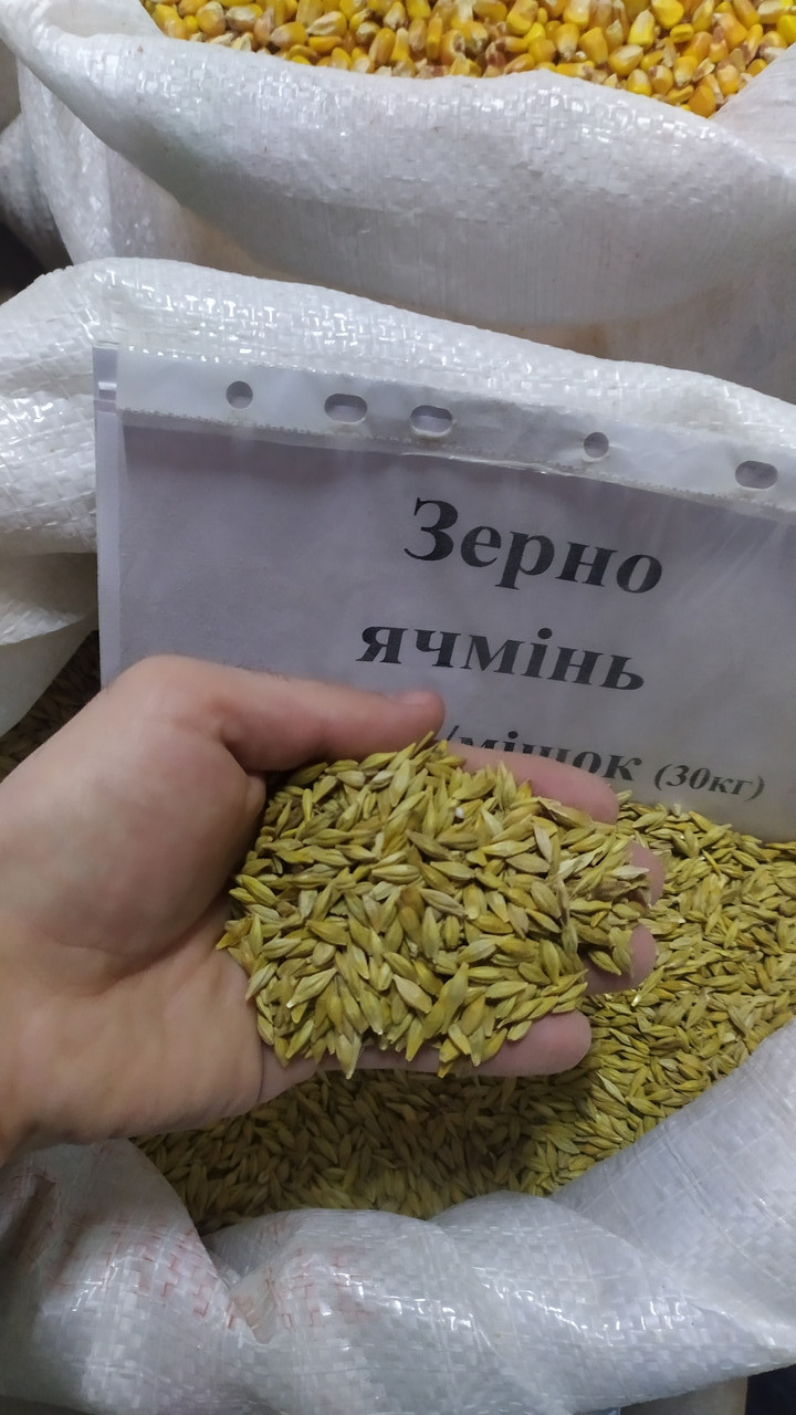 Ячмінь зерно 30кг