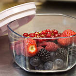 Набір вакуумних контейнерів Orved Conserbox, фото 2