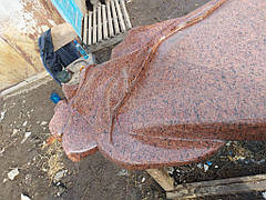 м. Дніпро "Троянда із Лізника" 4