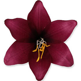 Головки штучних Лілій