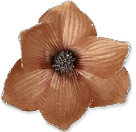 Магнолії, хібіскуси