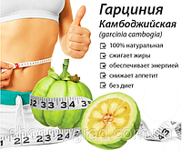 Garcinia Cambogia - Гарциния Камбоджийская Экстракт для быстрого похудения без усилий.