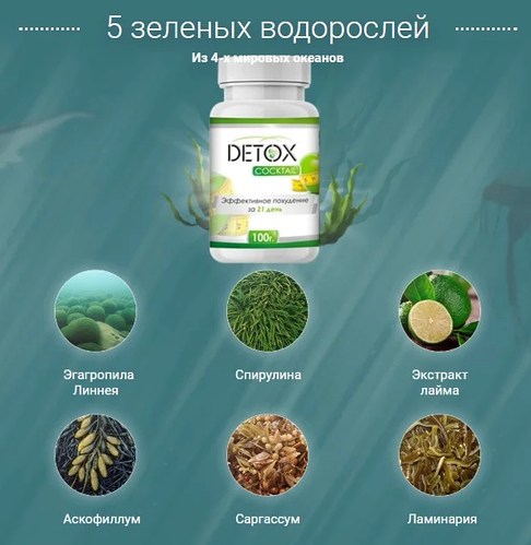Купить Detox Cocktail - Коктейль для похудения и очищения организма от ...